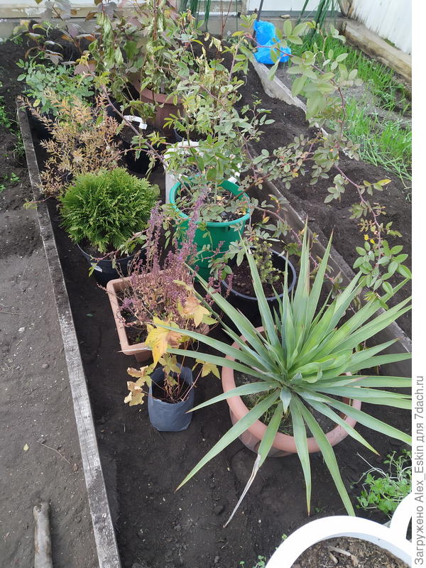 грунт вынул,всё расставил