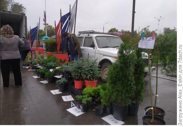 долго не мог отойти,всё таки туечку купил..