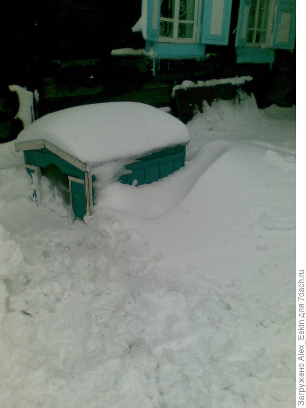 29 апреля 2011