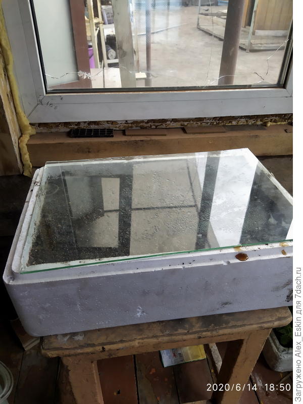 посеял земляничку