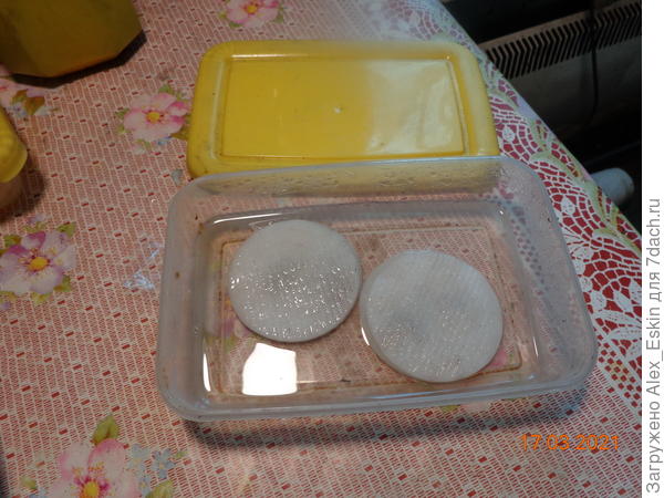 семена между дисками