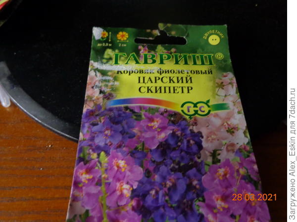 нынешняя посадка