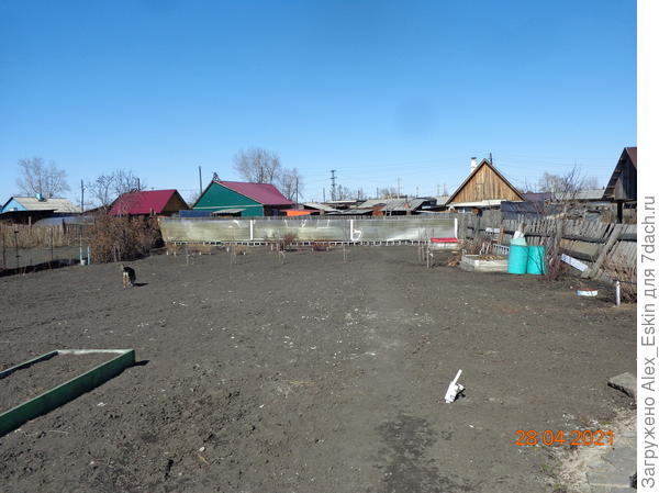 заодно и забор облагородил