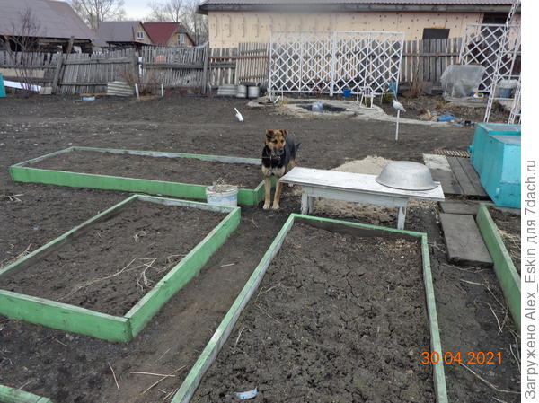 и &amp;quot;хозяйка&amp;quot;пришла проверить