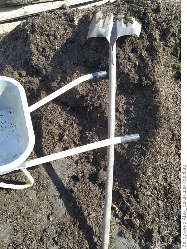 перегной на вид неплох