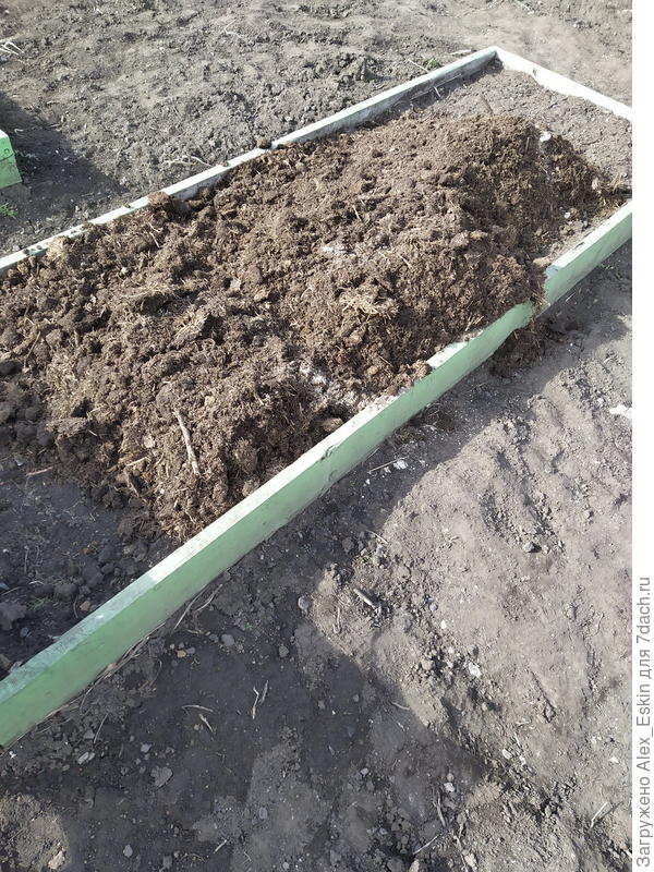 вношу на грядки