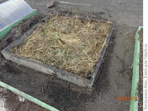 уложил скошенную осенью траву