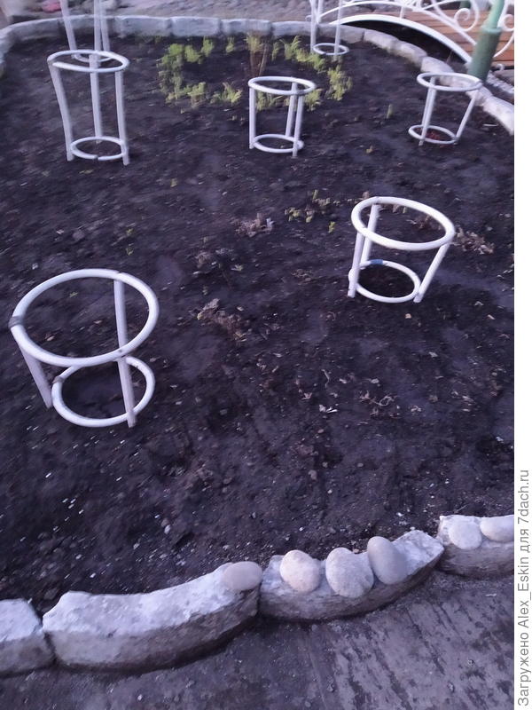 цветник пока &amp;quot;грустный&amp;quot;