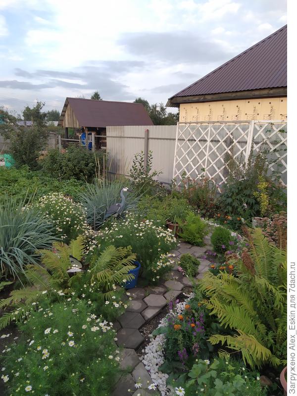 Новый забор