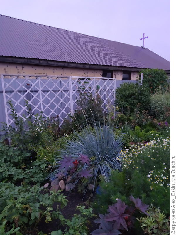 новый забор