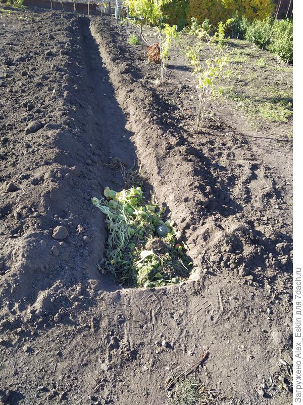 подготовленная траншея