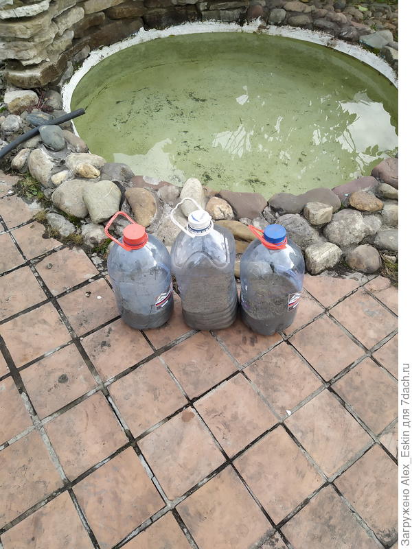 готовлю к зимовке