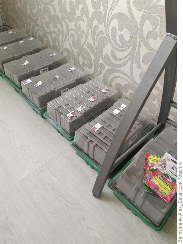 вечером расстановка по подоконникам