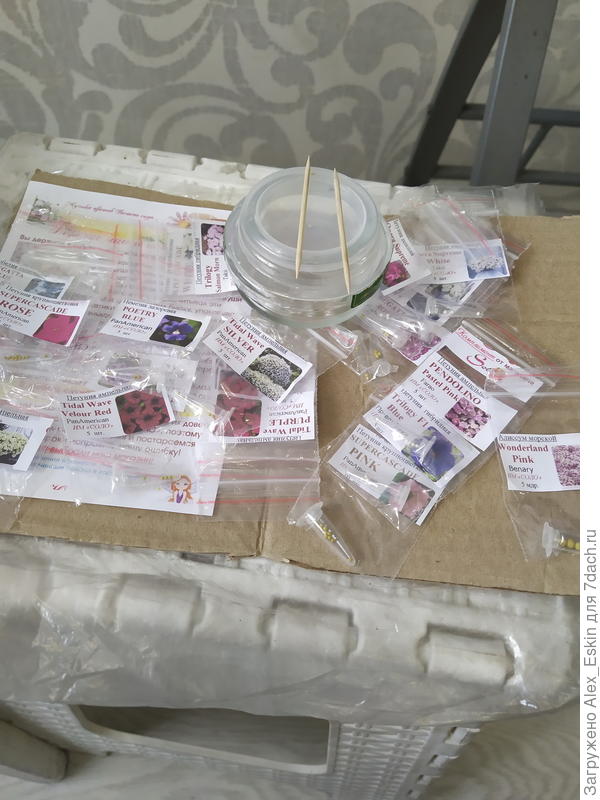 посадочный материал