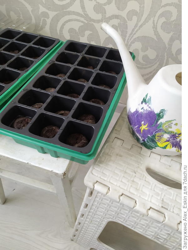 готовлю кассеты с таблетками