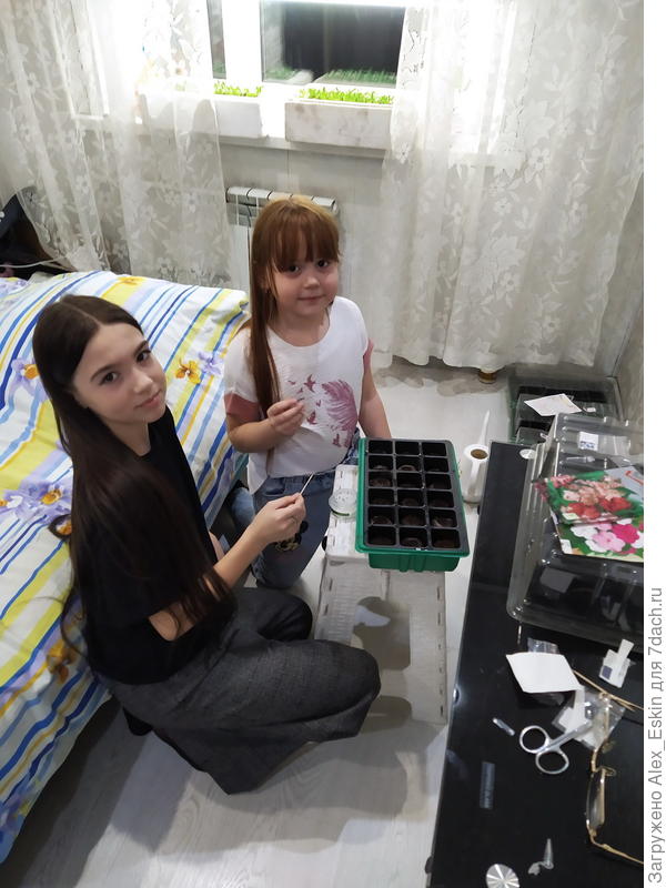 отсадились!