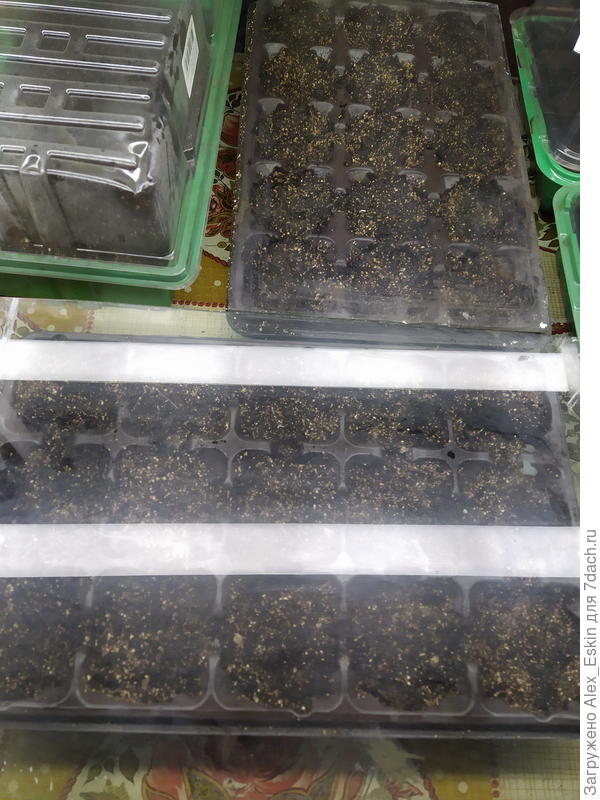 под стекло и под лампы