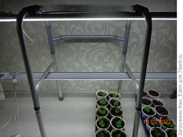 Нижний ряд будет стоять на полу,завтра сделаю полку верхнего яруса