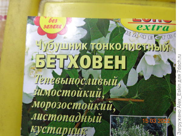 Вот такое ещё из семян не выращивал.