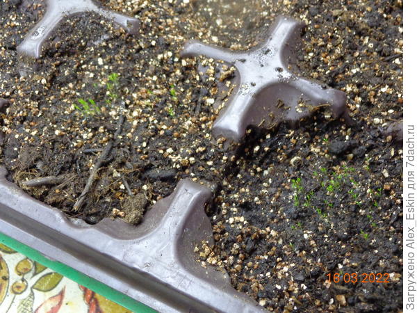 и тут та же история