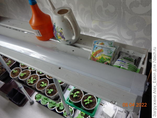 светильник