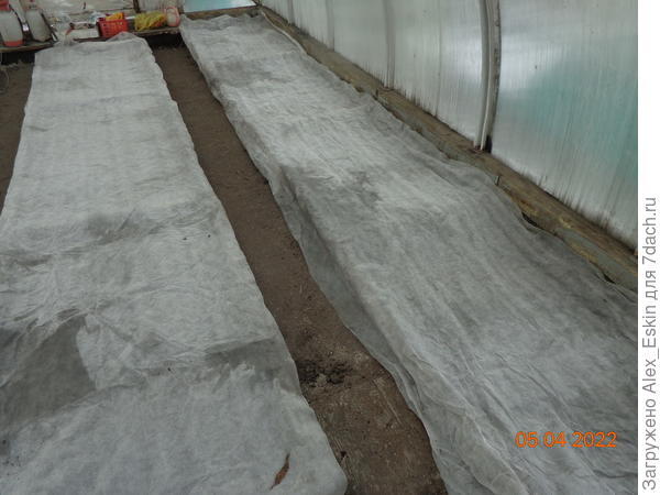 закрыл укрывным,до всходов