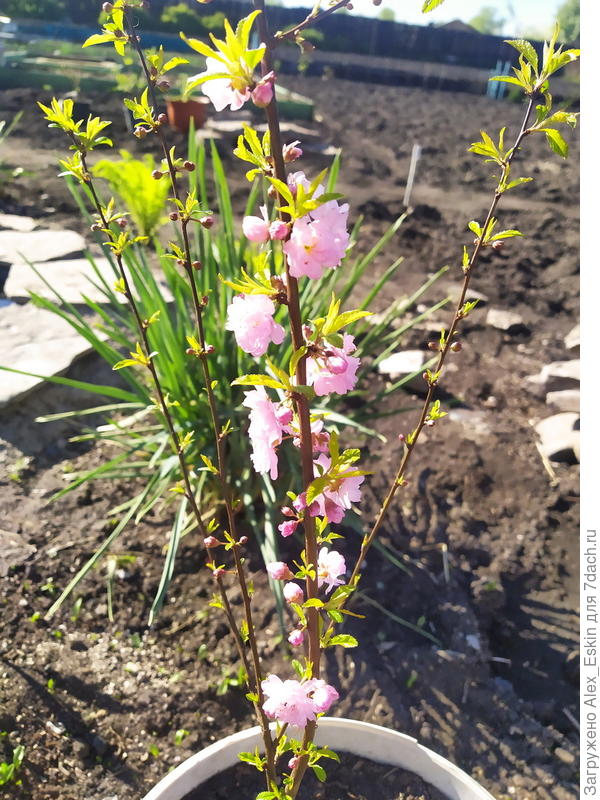 Моя малышка прошлым летом