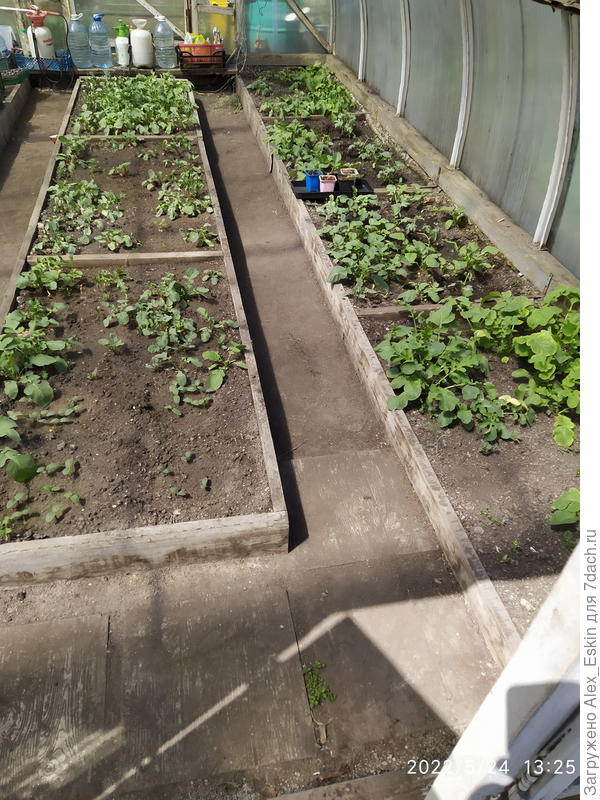 вот куда его столько то?