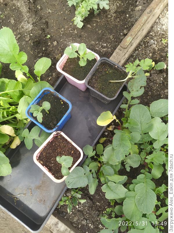 А там ждут местечко