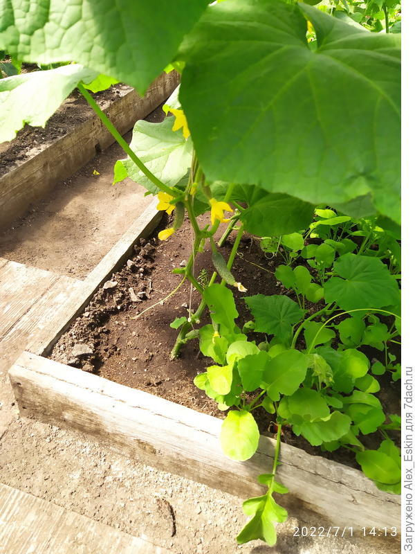 на следующей неделе,бог даст,первый сбор