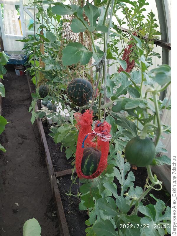 Пришлось люльки колхозить