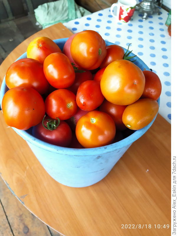 очередной сбор