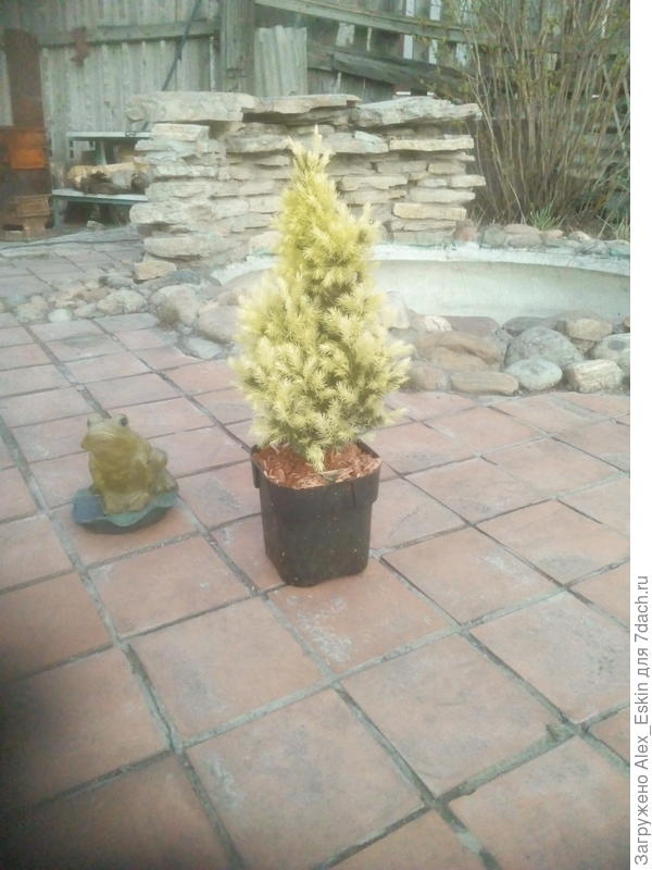 Покупка 2018 года,на ярмарке