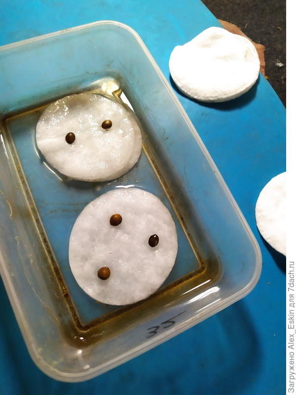 на стратификацию,на 2 месяца