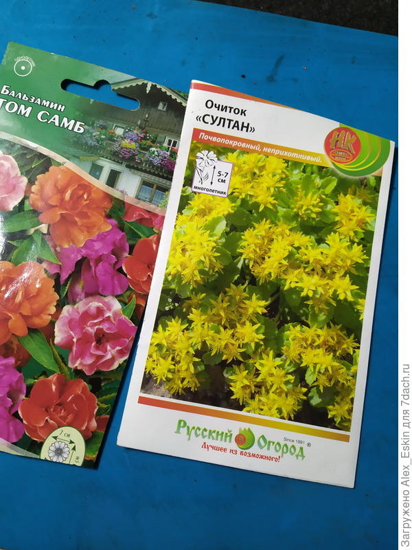 прошлогодние семена