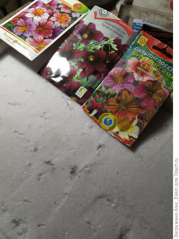 прошлогодние семена