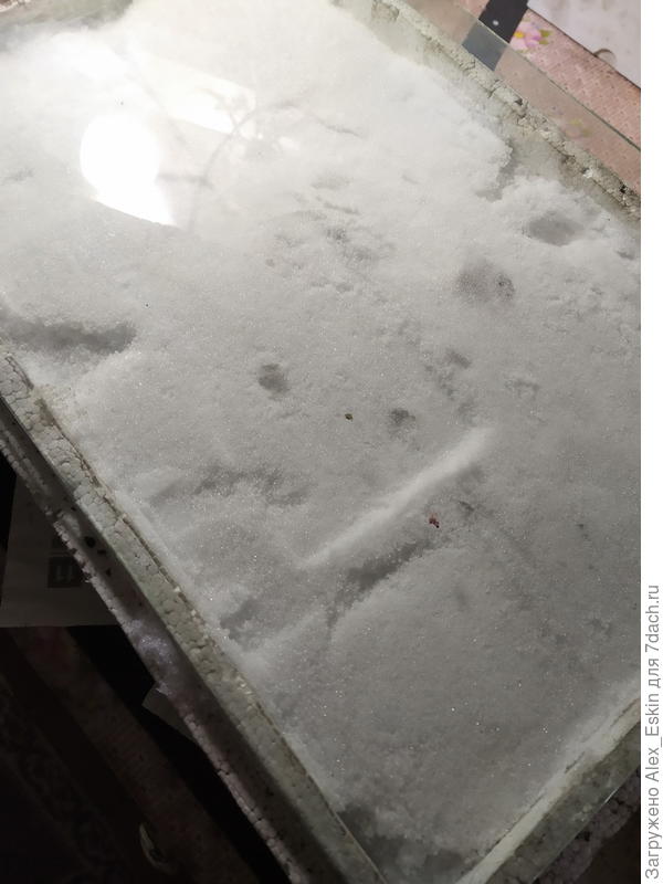 посеял по снегу