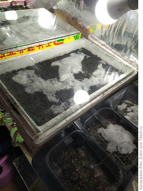 Будем ждать всходов