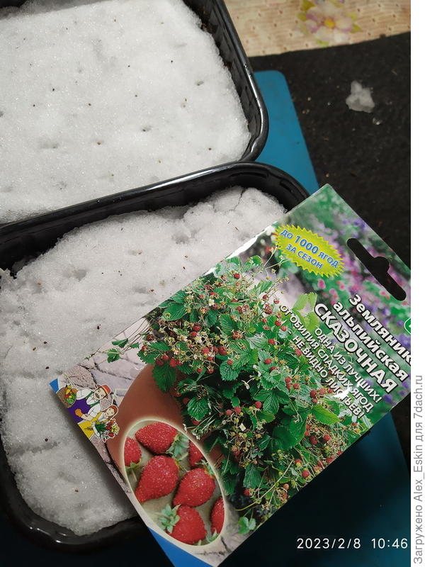 Руяна и альпийская Сказочная