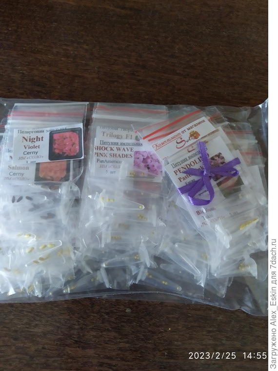 семена от SOLO