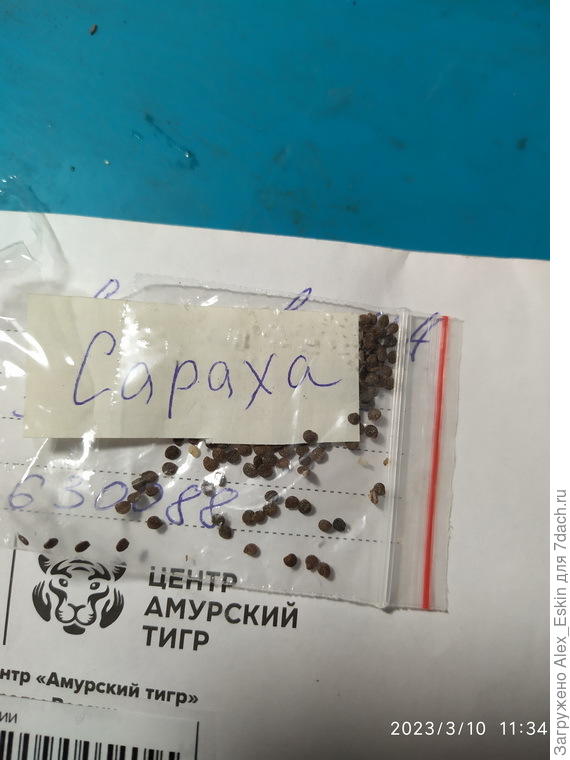 семена Сарахи