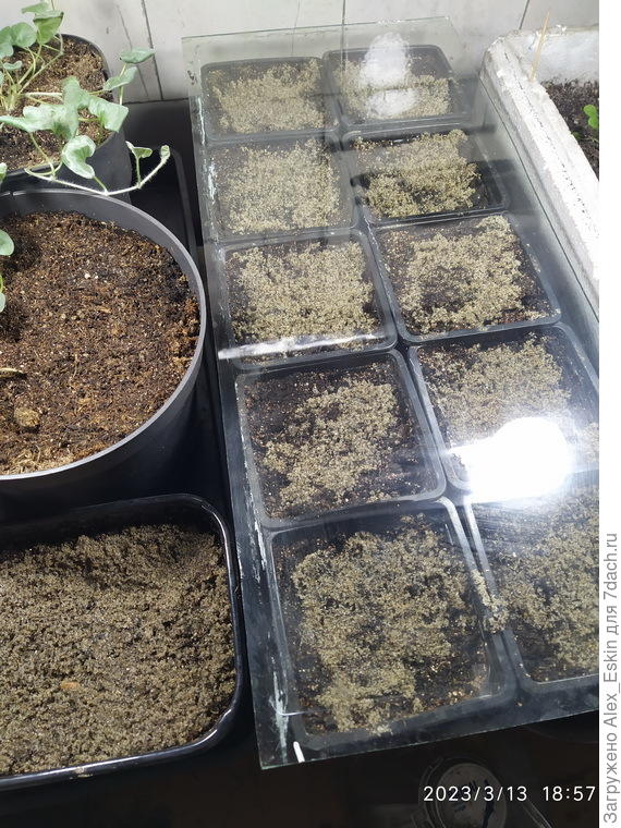 присыпал песочком,и на стеллаж