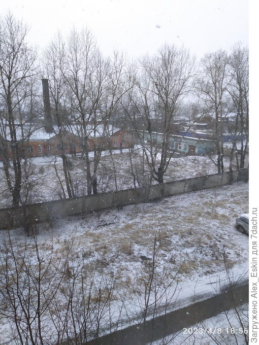 вот такая вот весна