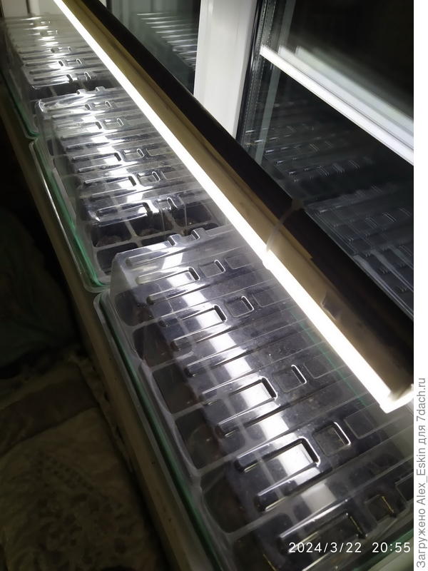 поставил под лампы