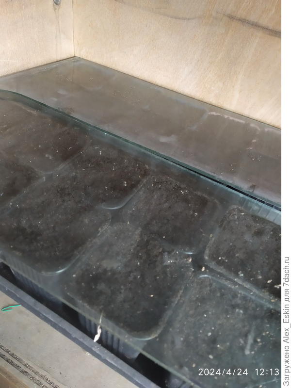 стаканчики 0,5 под стеклом