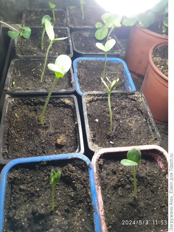 а эти уже  на стеллаже