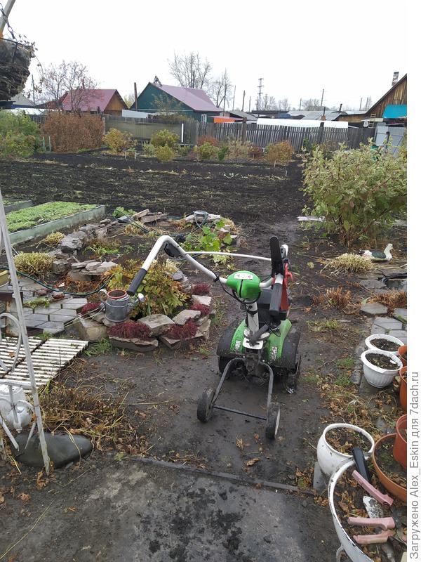 Ну,и прокультивировал