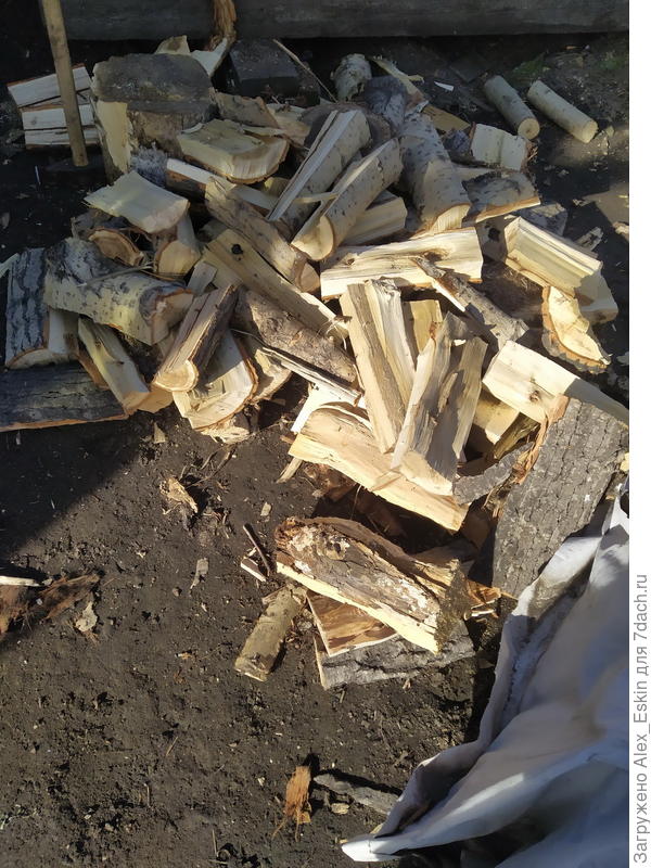 Дровишки,Максим уже поколол