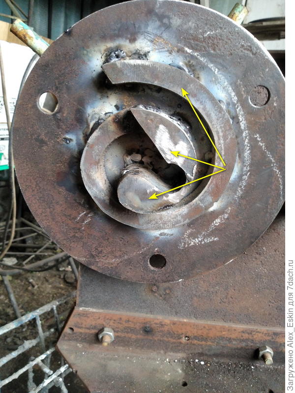 Та самая улитка