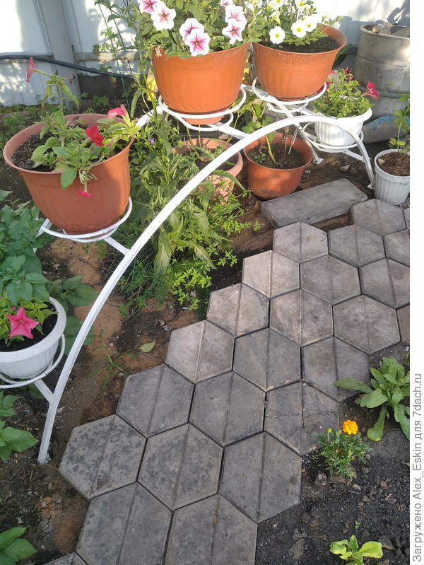 Арка для петуний